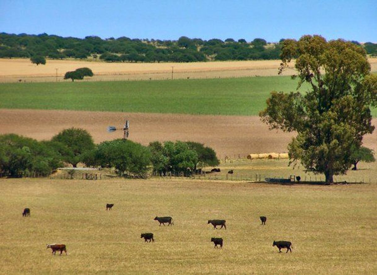 Lugar La Pampa