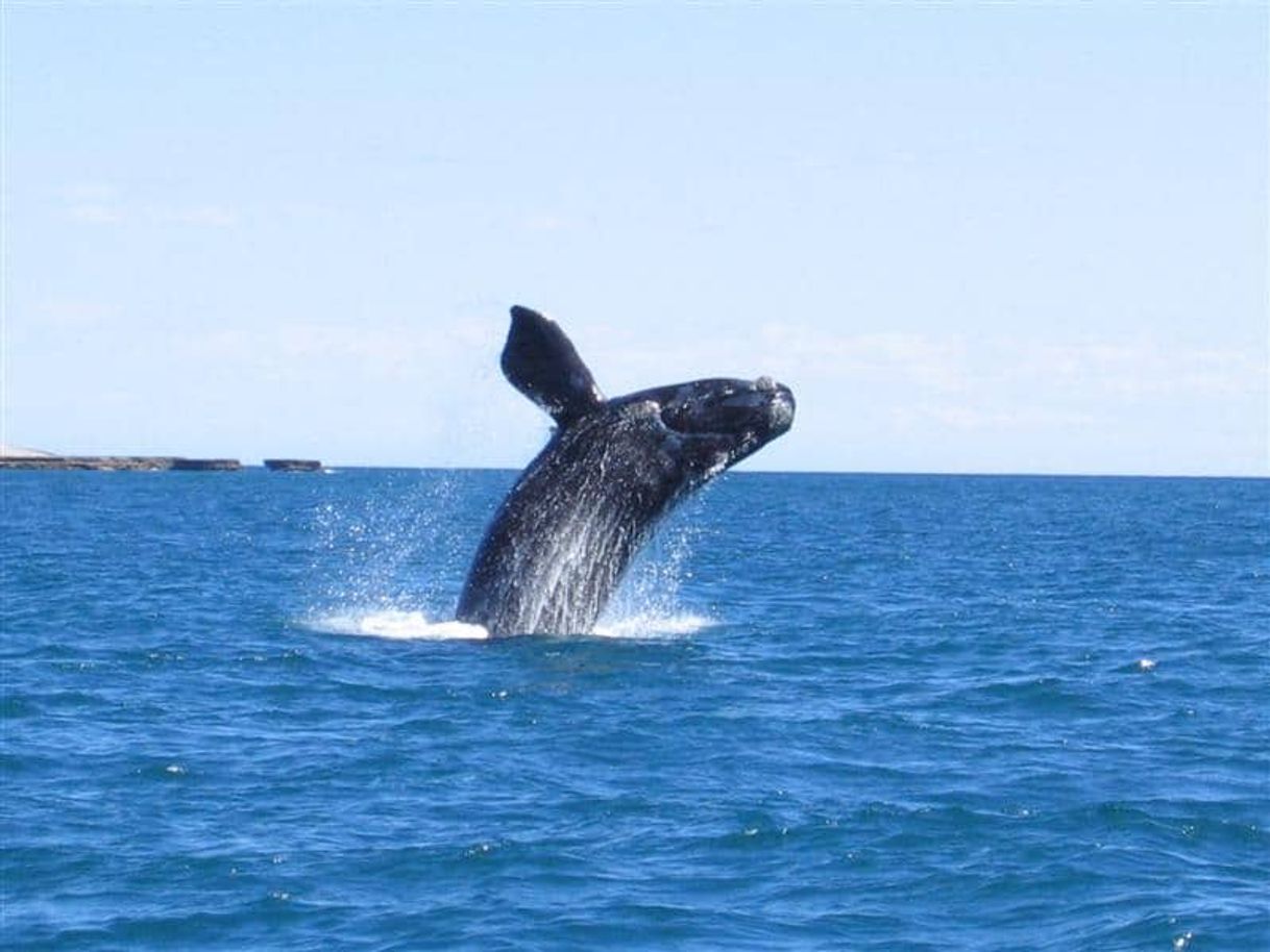 Lugar Puerto Madryn