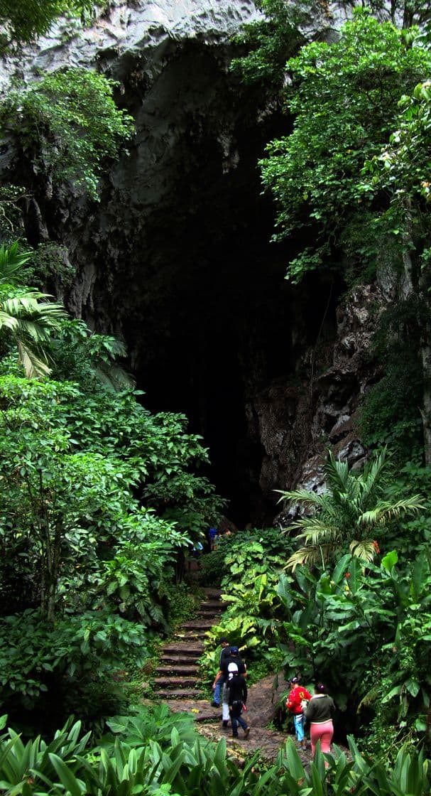 Lugar Parque Nacional El Guácharo