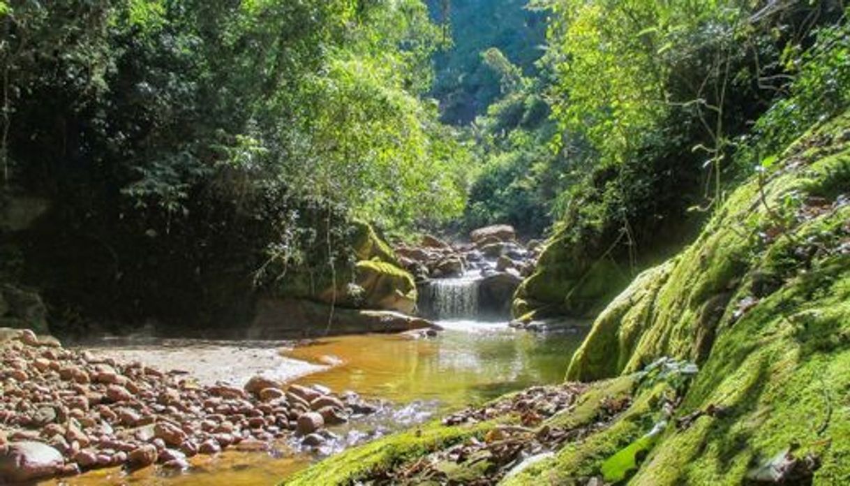 Lugar Parque Nacional Calilegua (Intendencia)