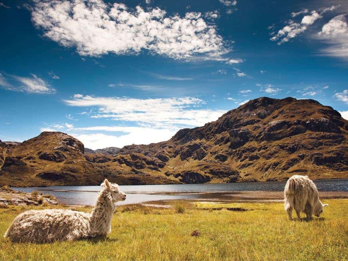 Place Parque Nacional Cajas