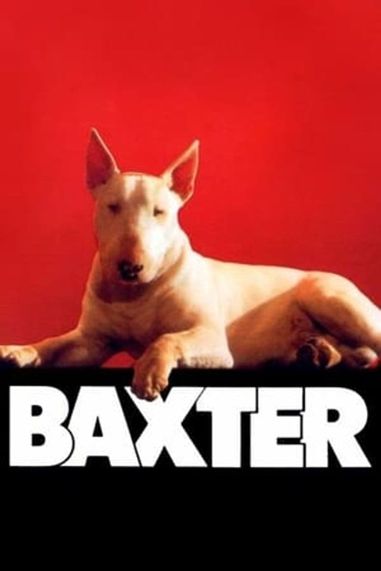 Película Baxter