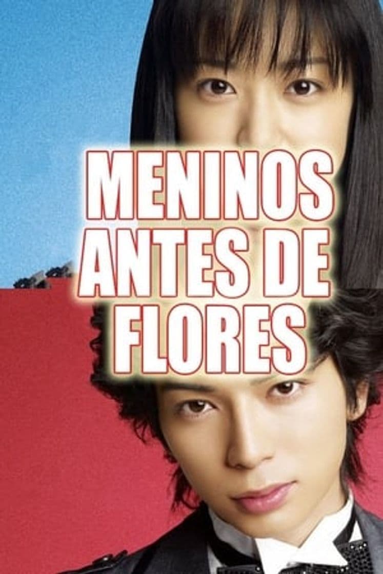 Serie BOYS OVER FLOWERS