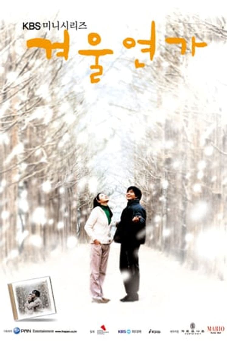 Serie Winter Sonata