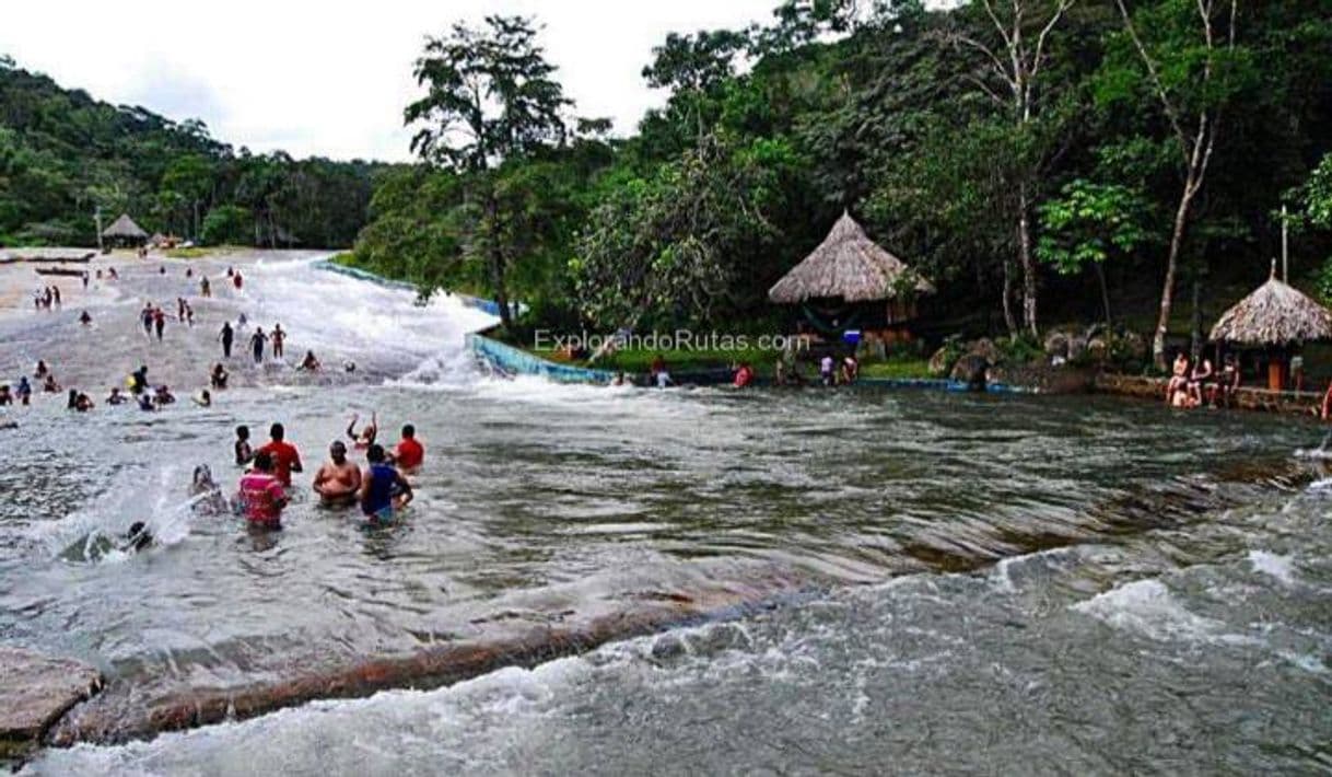 Lugar Tobogan de la Selva