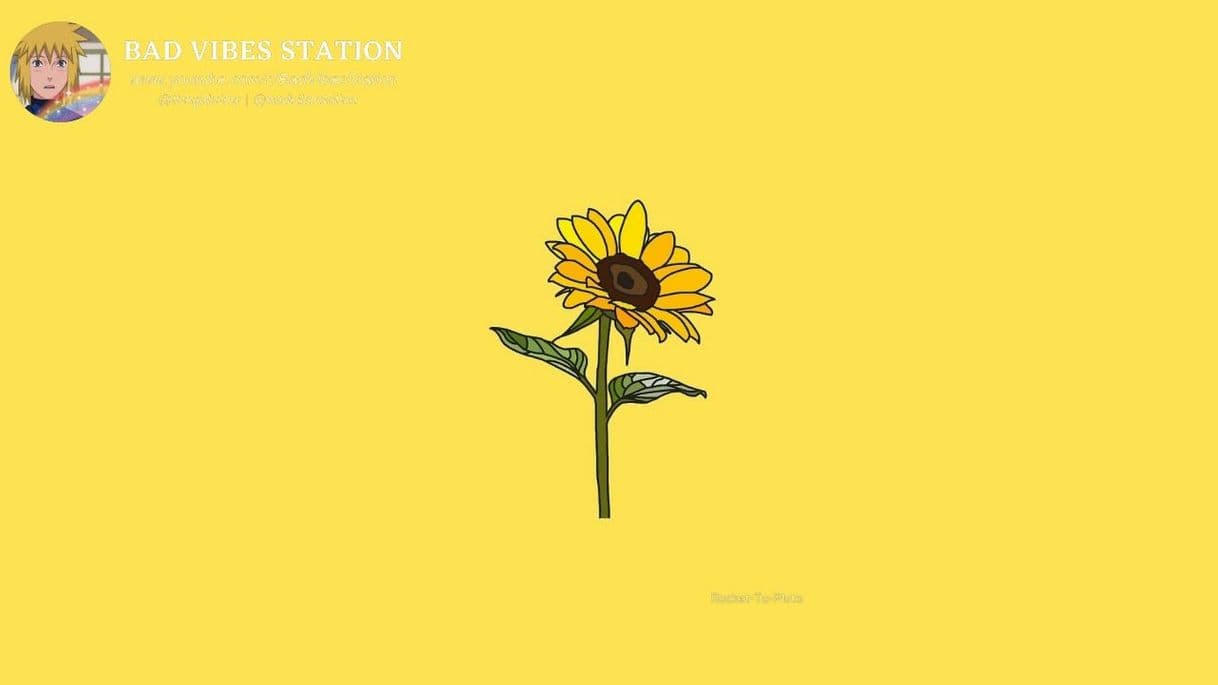 Music rex orange country - sunflower 