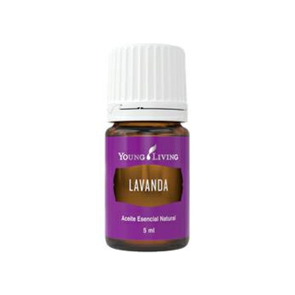 Belleza Young Living Aceite esencial de lavanda 1 Pack