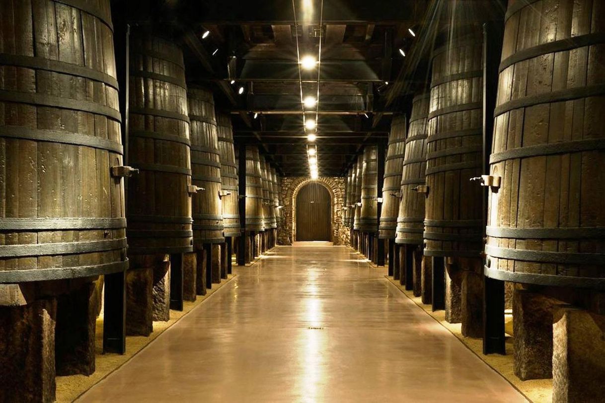 Lugar Bodegas Franco Españolas