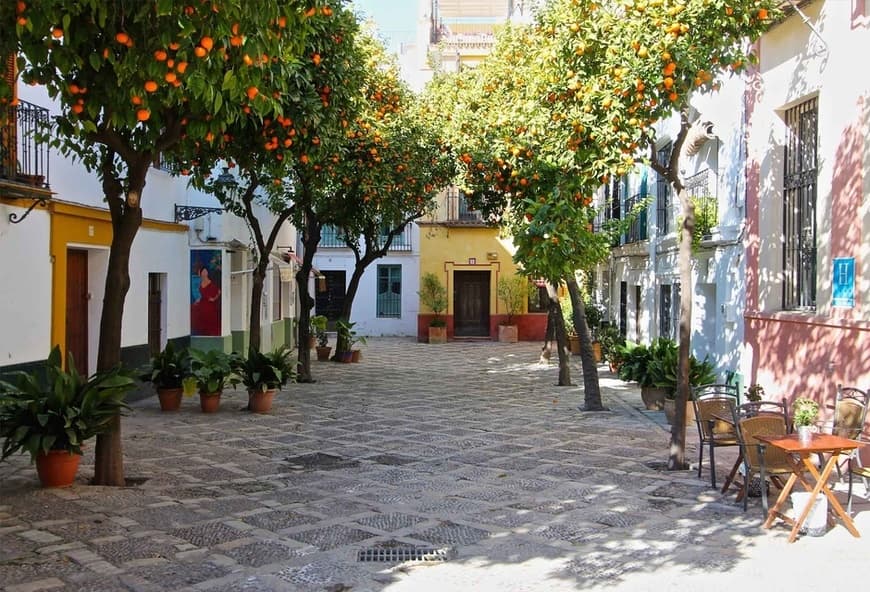 Lugar Barrio de Santa Cruz