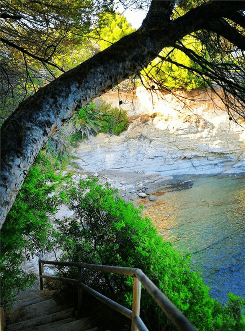 Place Cala del Mallorquí