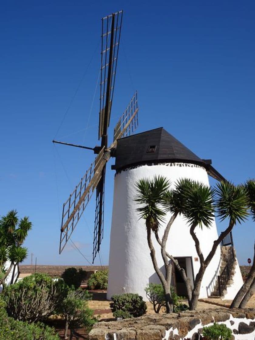 Place Molino de Antigua