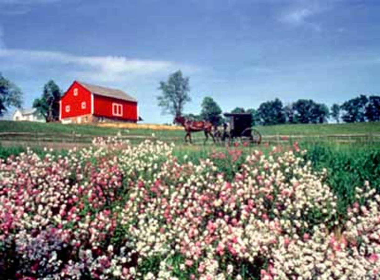 Lugar Amish Country Byway