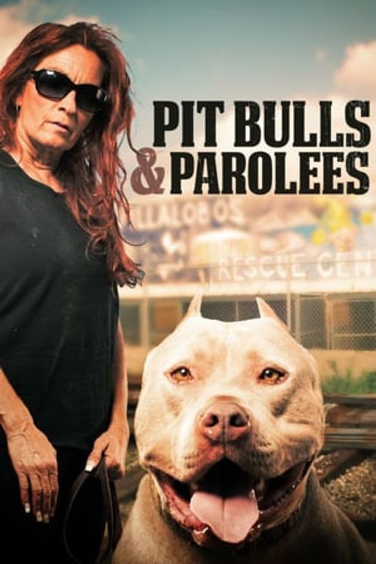 Serie Pit Bulls and Parolees