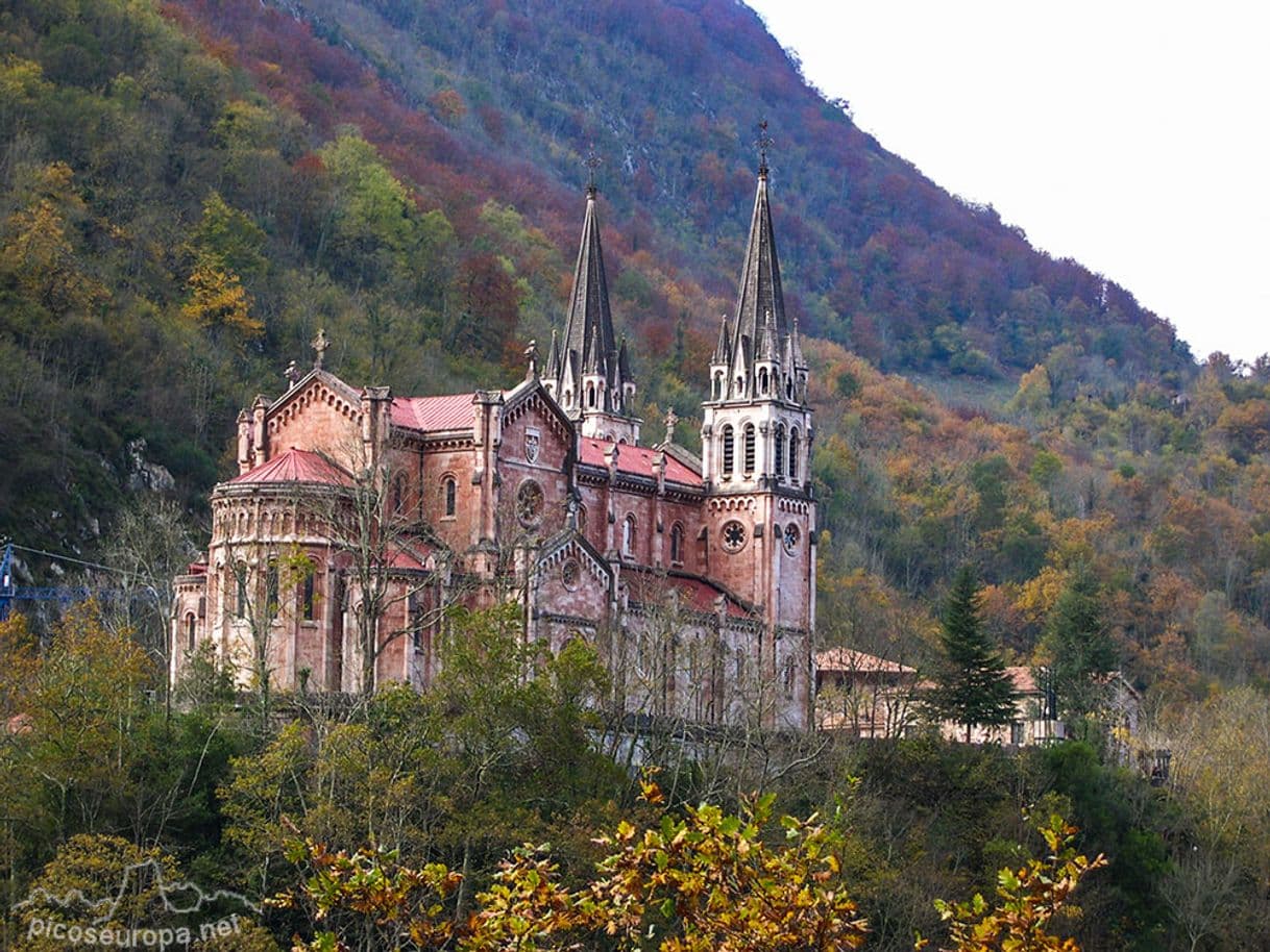 Place Covadonga