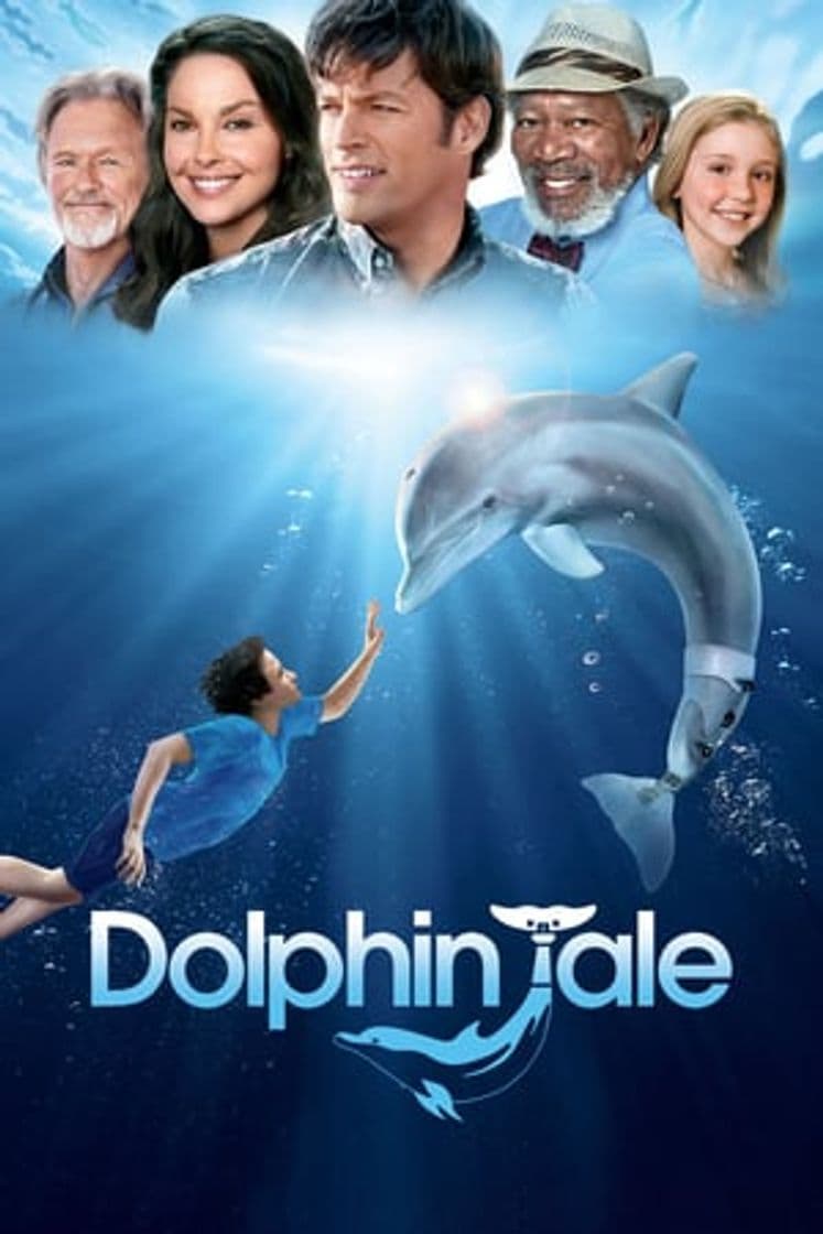 Película Dolphin Tale