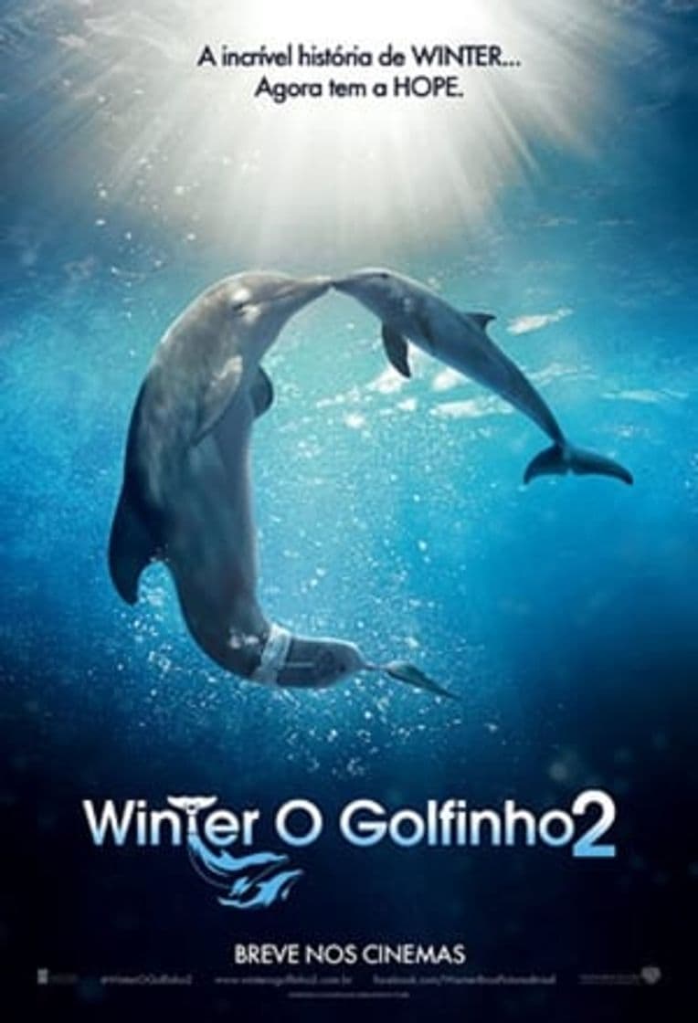 Película Dolphin Tale 2