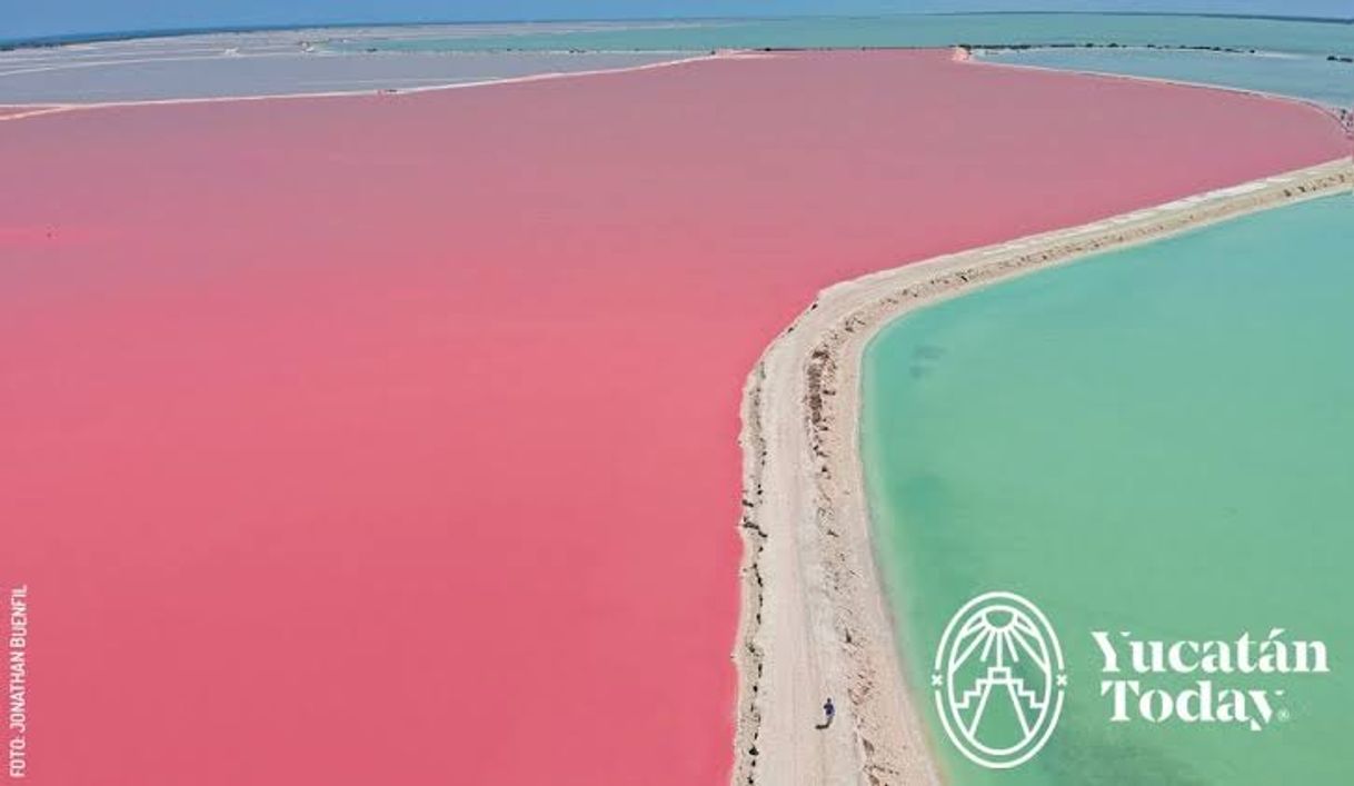 Place Las Coloradas Yucatan