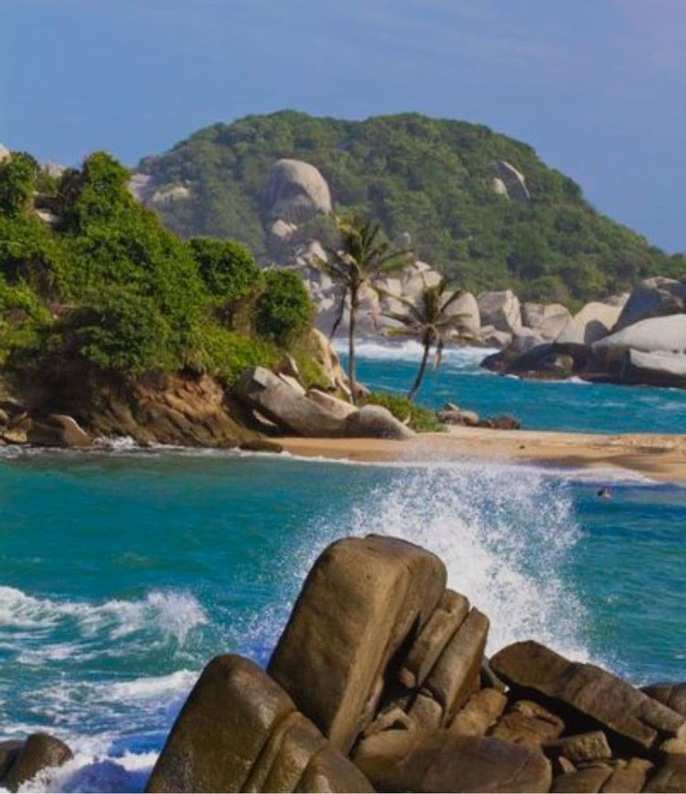 Lugar Parque Tayrona