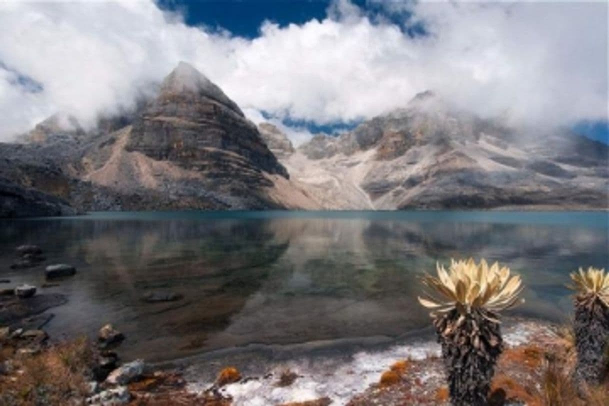 Lugar Parque Nacional Natural El Cocuy