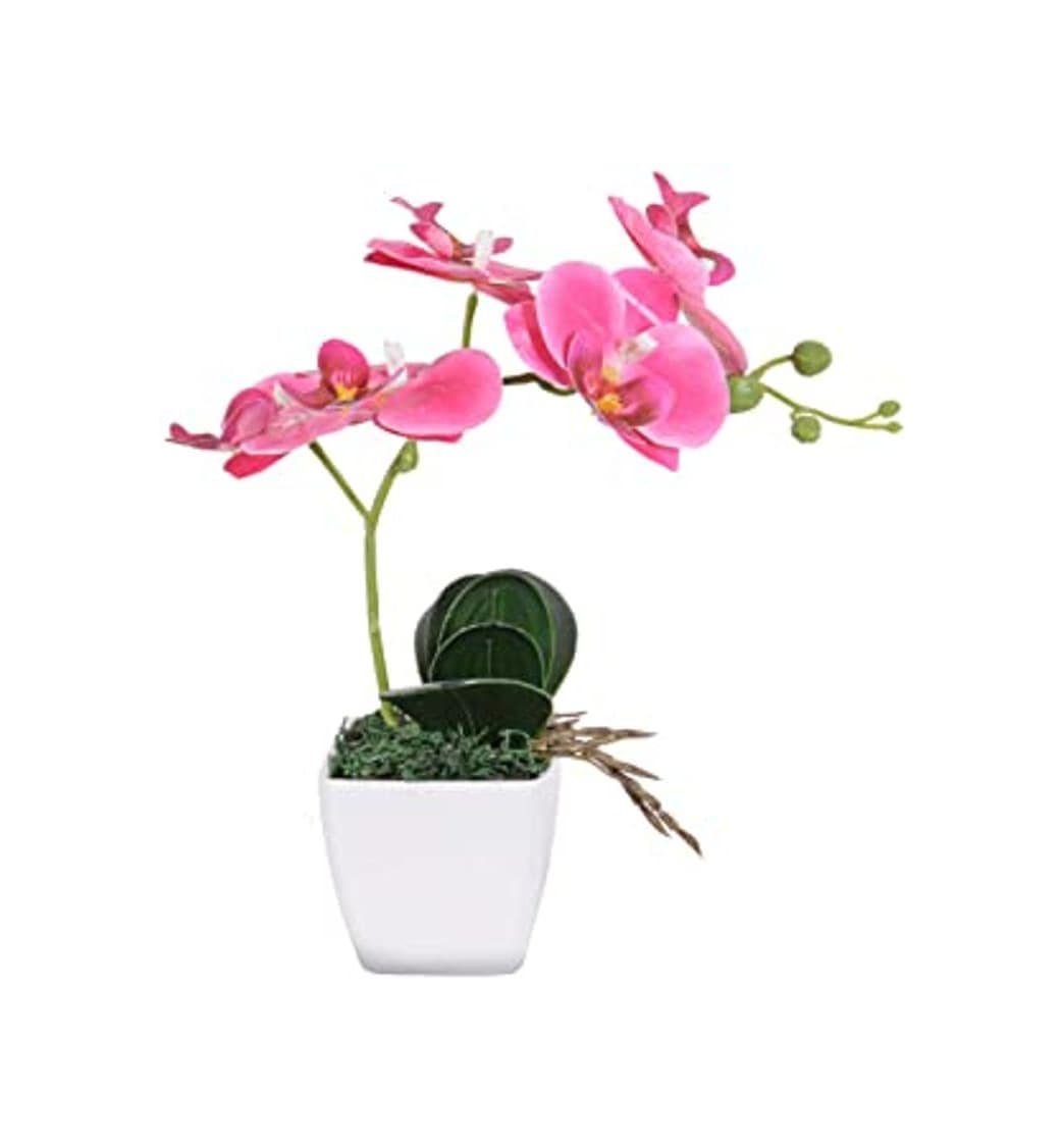 Product VIVILINEN Flores Artificiales Plásticos Flor de Phalaenopsis Realistas Orquídea Mariposa con Maceta