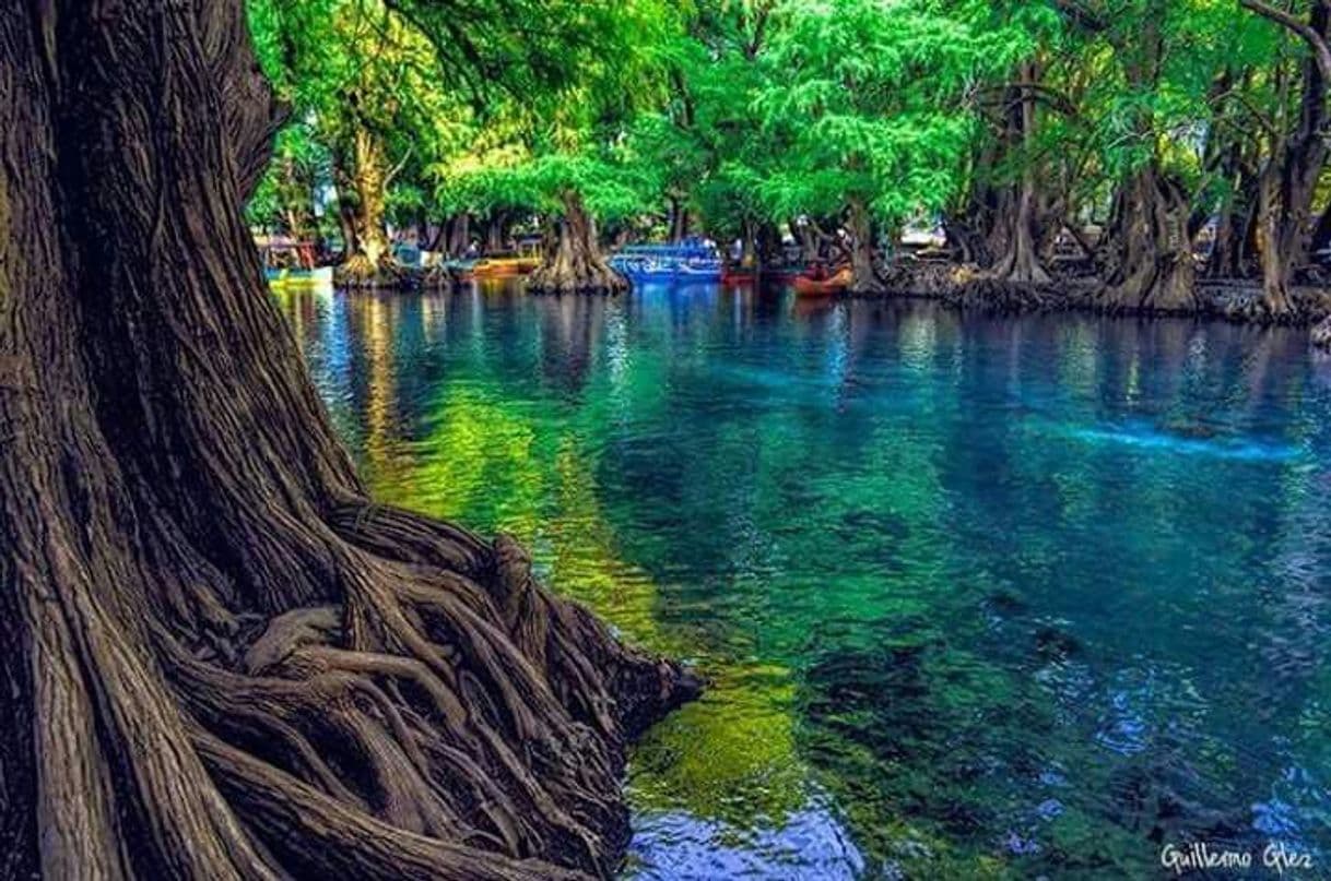 Lugar Lago de Camécuaro