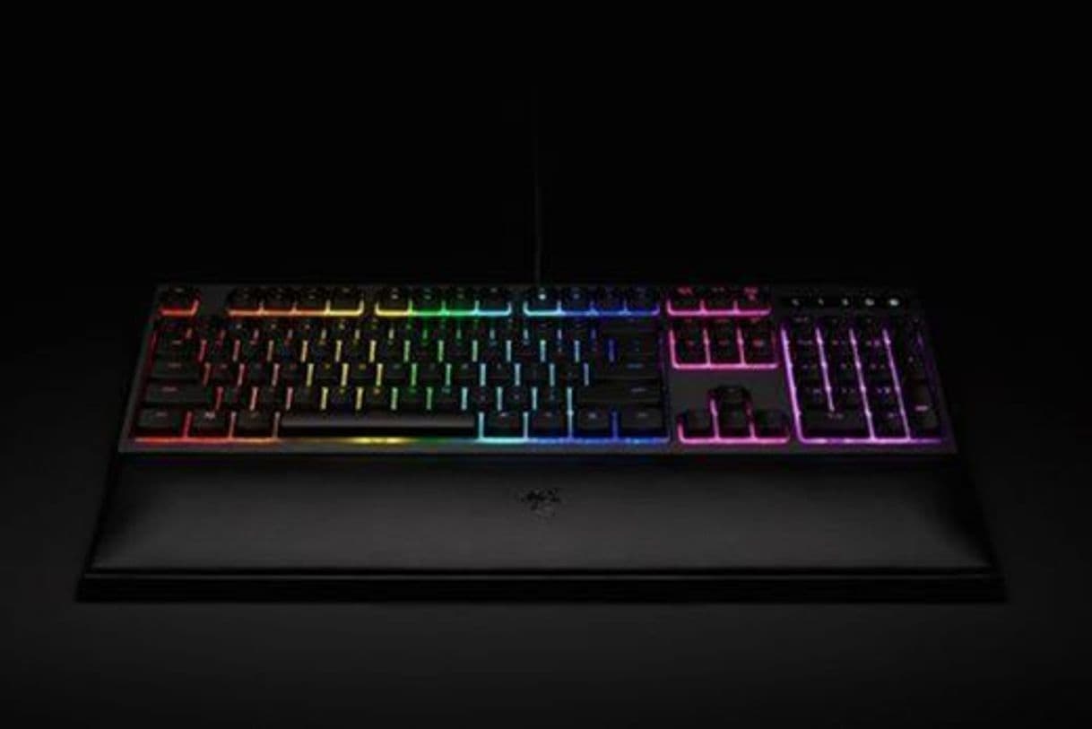 Electronic Razer Ornata Chroma