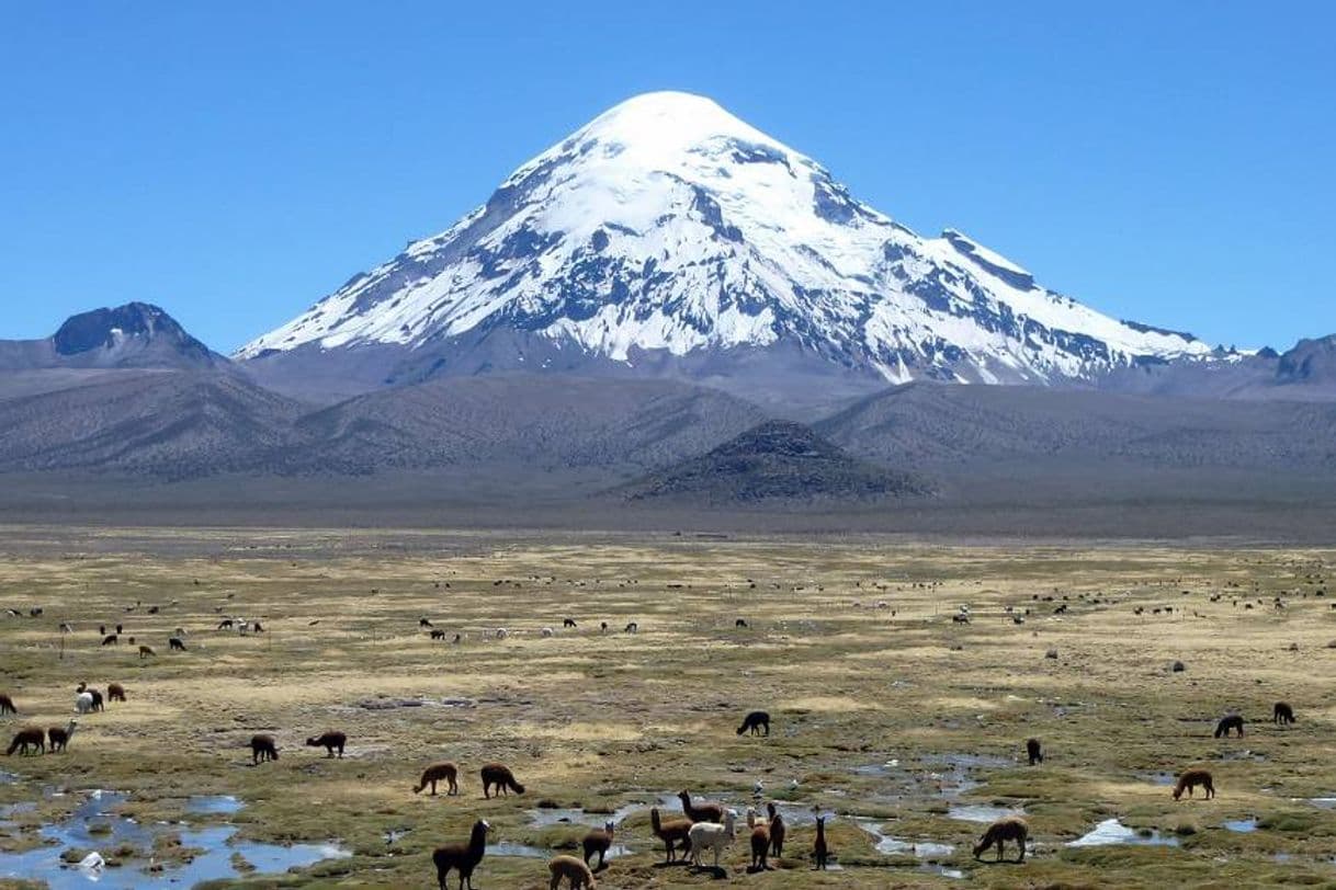 Place Nevado Sajama