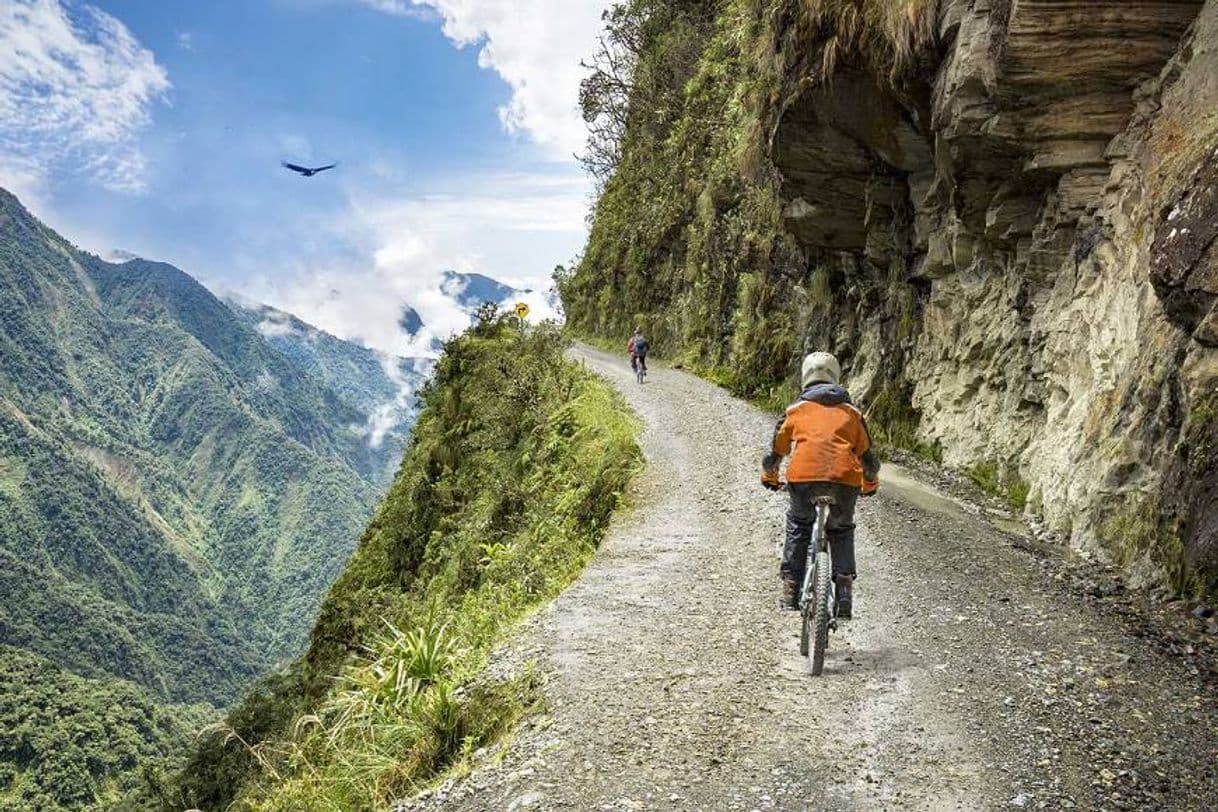 Place North Yungas Road