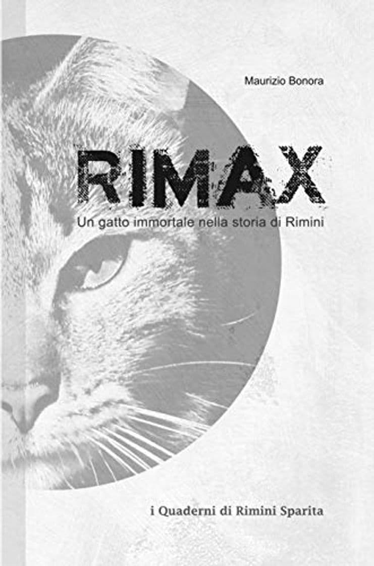 Producto Rimax: Un gatto immortale nella storia di Rimini