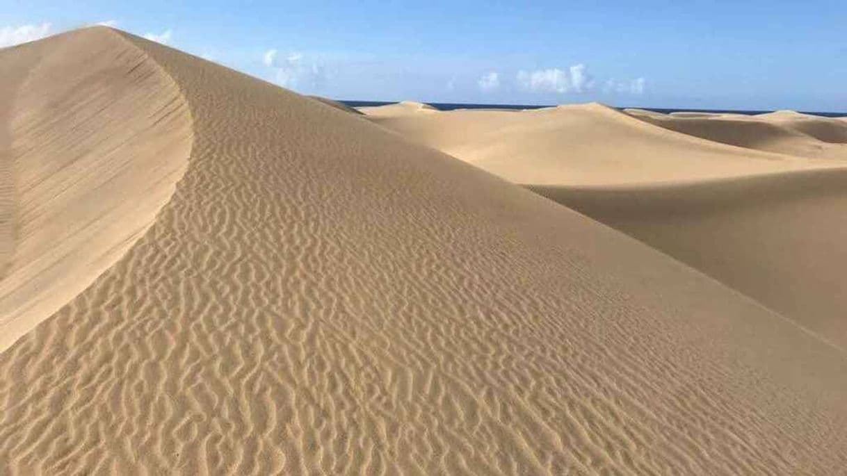 Place Dunas de Maspalomas