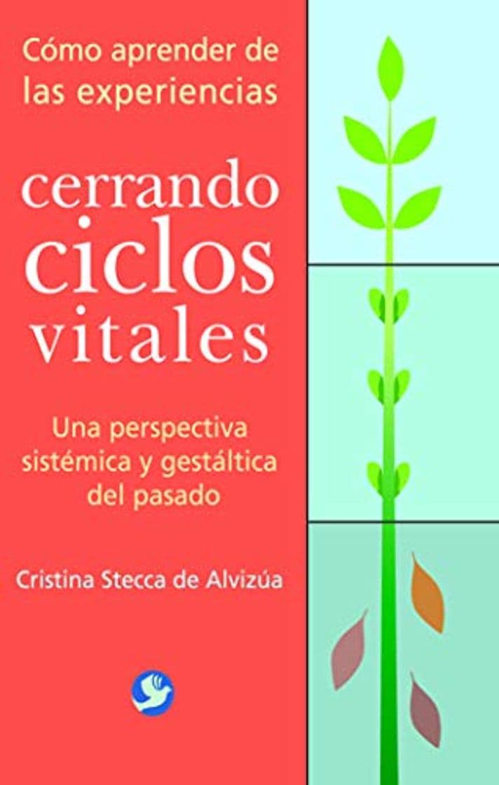 Book Cerrando Ciclos Vitales: Como Aprender de Las Experiencias