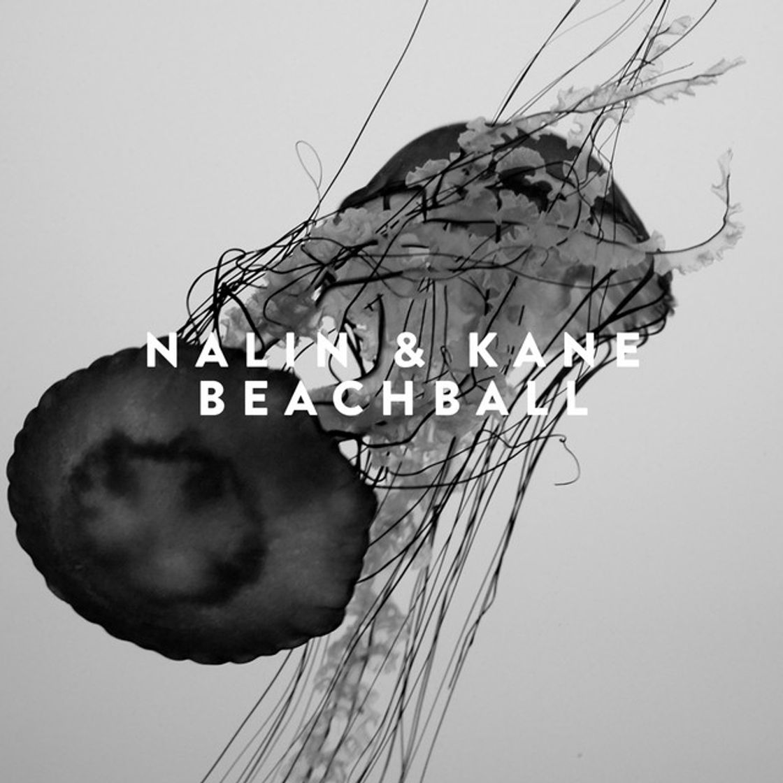 Canción Beachball - Vocal Radio Edit