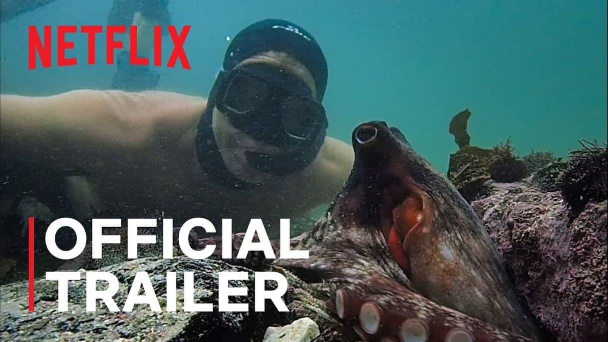 Moda My Octopus Teacher | Official Trailer | Netflix - YouTube