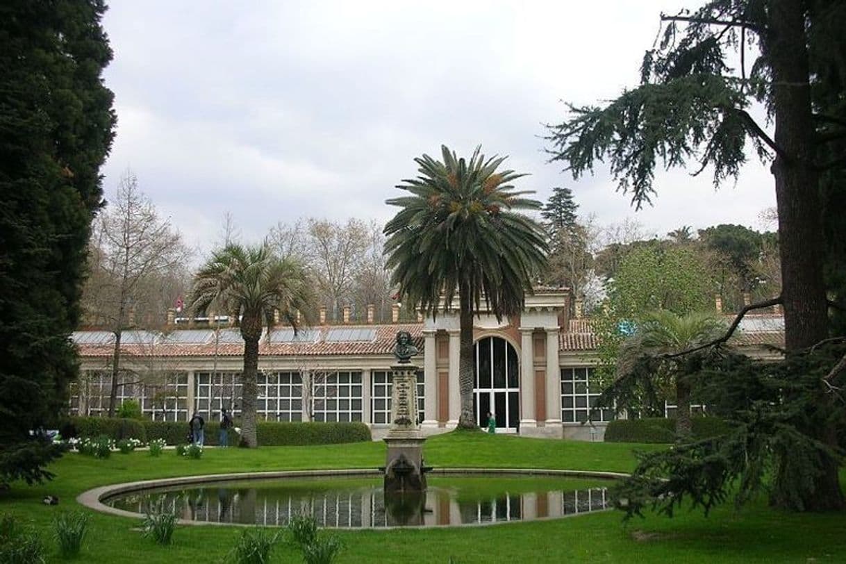 Lugar Real Jardín Botánico