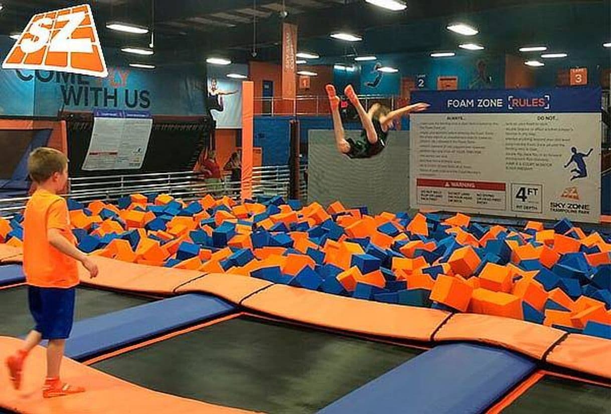 Lugar Sky Zone Trampoline Park