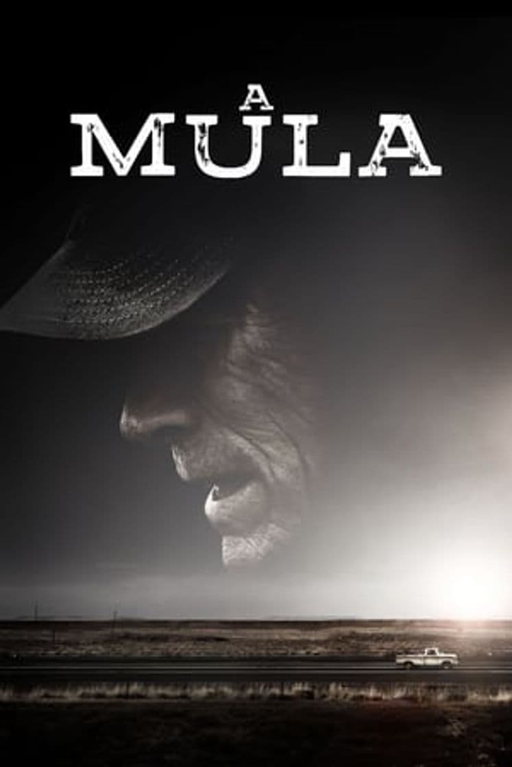 Movie The Mule