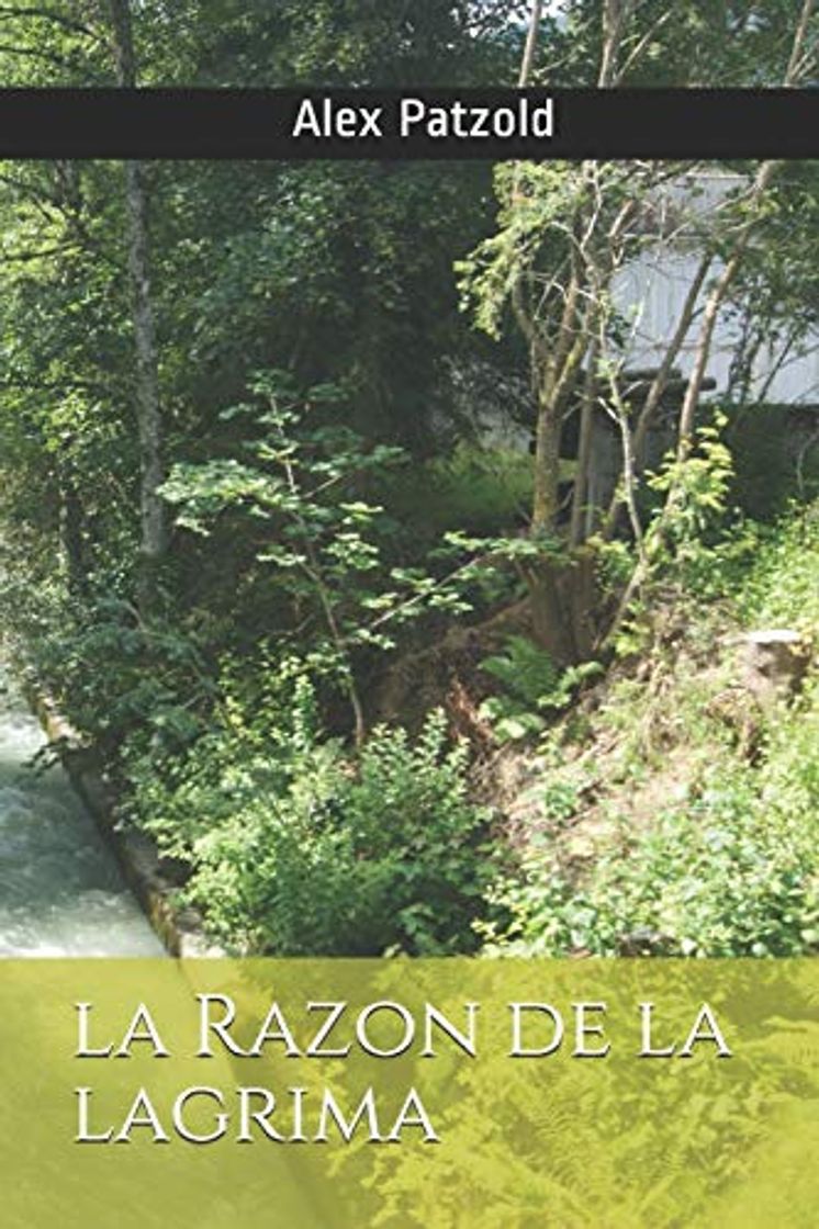 Libro La Razon de la Lagrima: Poemas Alex Patzold