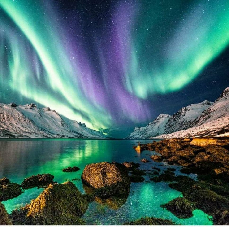 Fashion Aurora Boreal na Noruega 💜