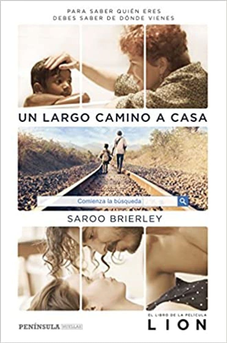 Película Un camino a casa | Lion