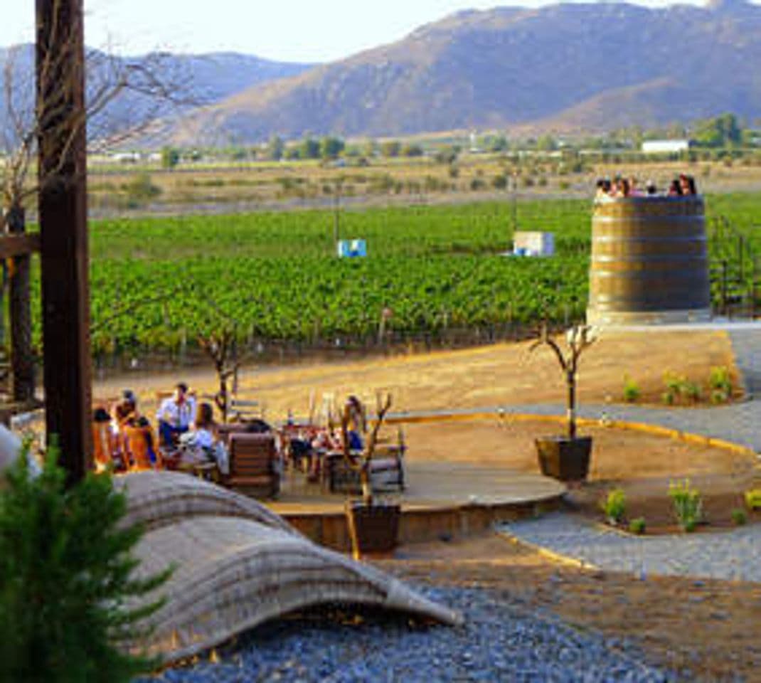 Place Valle de Guadalupe