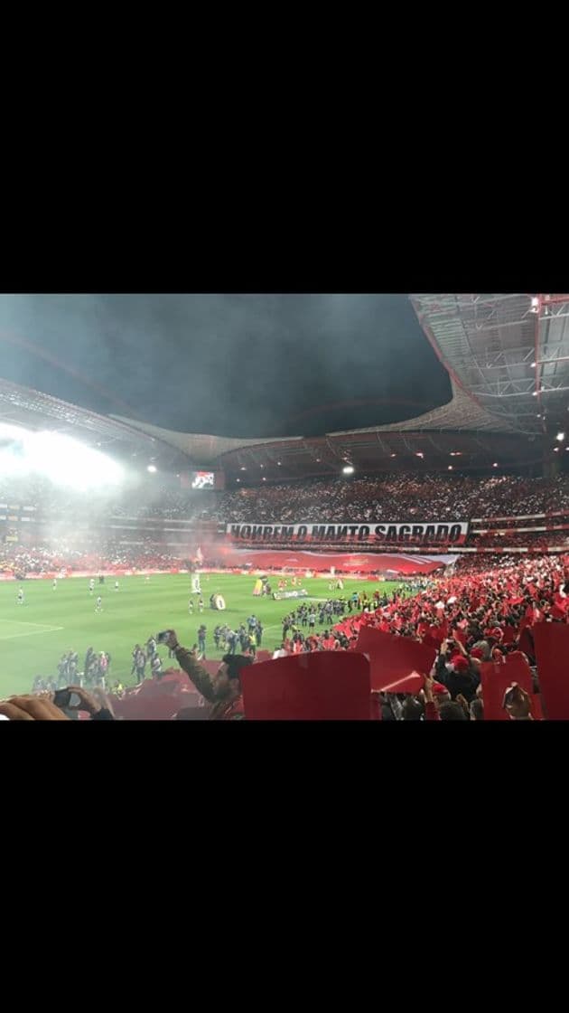 Place Estádio Sport Lisboa e Benfica