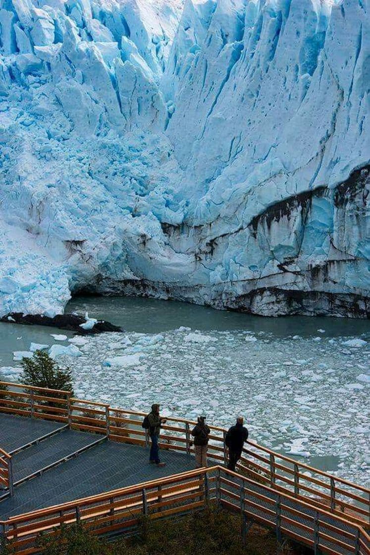 Place Parque Nacional Los Glaciares