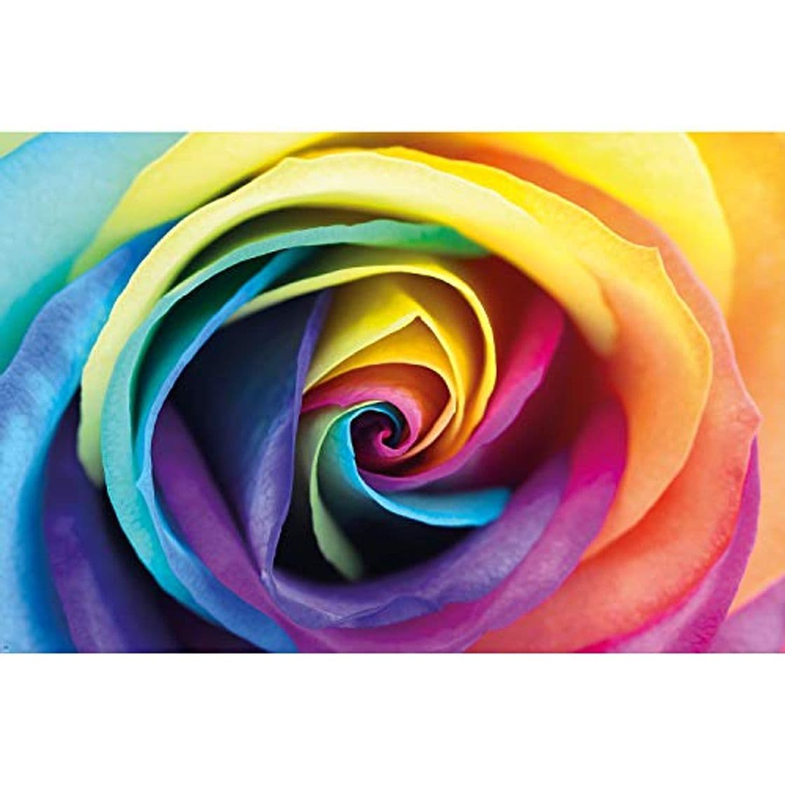 Producto GREAT ART Mural de Pared – Rosa del Arco Iris – Flores