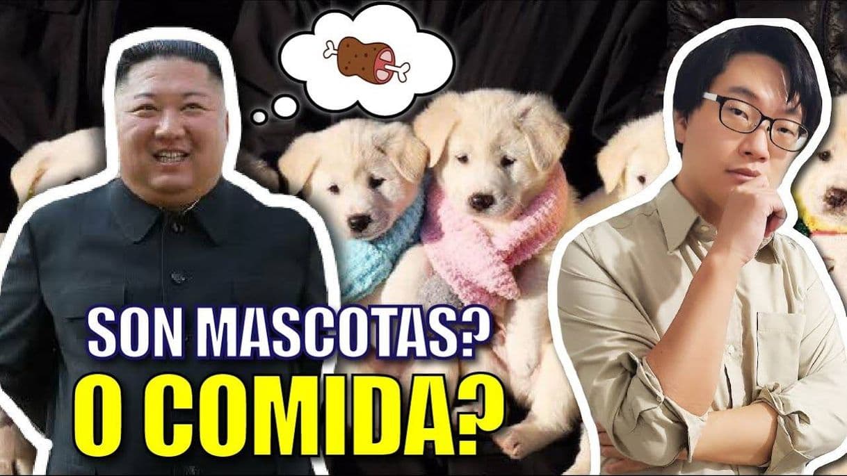 Moda ¿LOS COREANOS COMEN PERRO? (...) - Coreano con Jinseop 