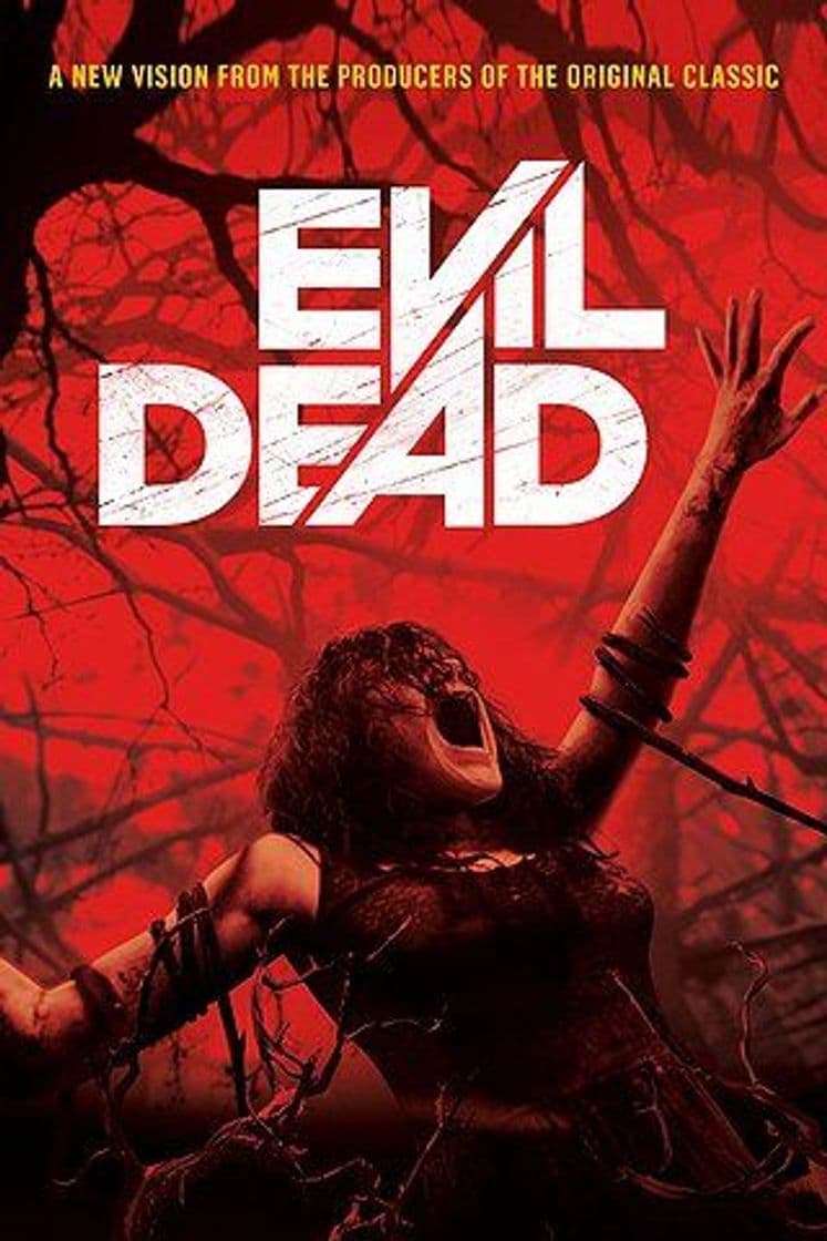 Película Posesión Infernal: Evil Dead (2013) 