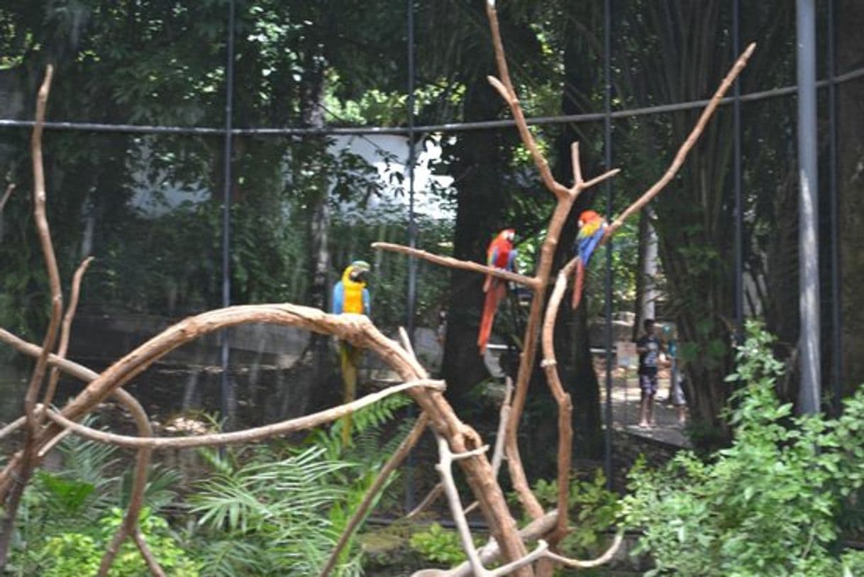 Lugar Parque Zoobotânico Arruda Câmara (Bica)