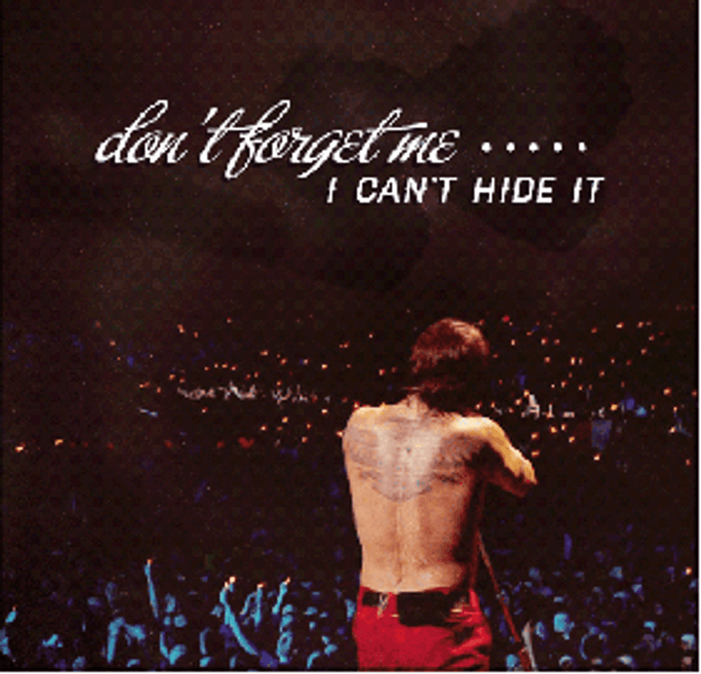 Canción Don't Forget Me