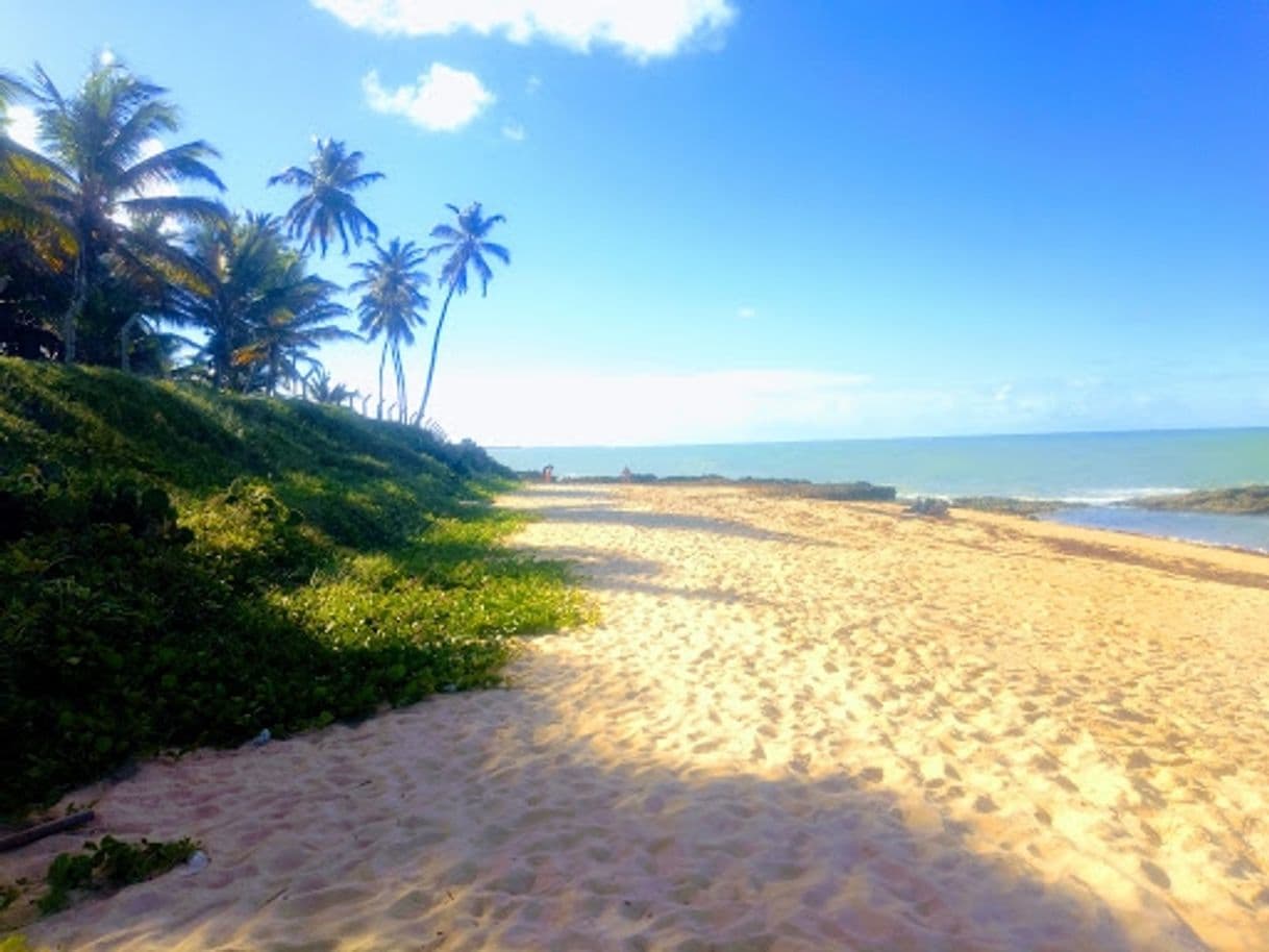 Lugar Praia de Coqueirinho - Conde (PB) Marcos JM