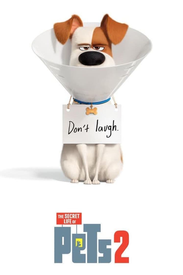 Película The Secret Life of Pets 2