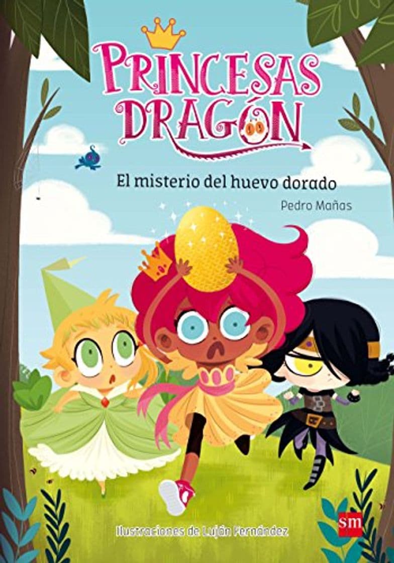 Libro Princesas Dragón: El misterio del huevo dorado